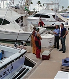 H319-0077.jpg