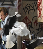 H50S3-0086.jpg