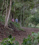H406-0129.jpg