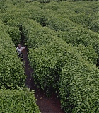 H418-0205.jpg
