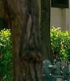 H501-00371.jpg