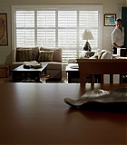 H501-00445.jpg
