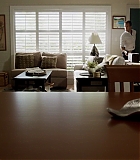 H501-00446.jpg