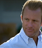 H503-00081.jpg