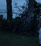H503-00124.jpg
