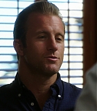 H50508-00185.jpg
