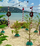 H50509-00007.jpg