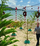 H50509-00009.jpg