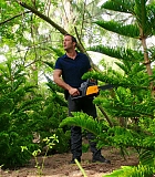 H50509-00044.jpg