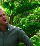 H50509-00045.jpg