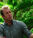 H50509-00048.jpg