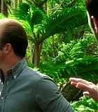 H50509-00051.jpg
