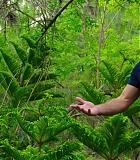 H50509-00053.jpg