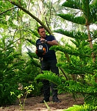 H50509-00059.jpg