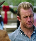 H50509-00196.jpg