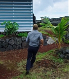 H50509-00213.jpg