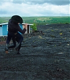 H50509-00217.jpg