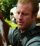H50509-00361.jpg