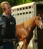 H50509-00365.jpg