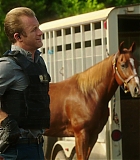 H50509-00366.jpg