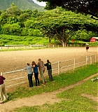H50509-00378.jpg