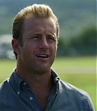 H50509-00391.jpg