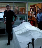 H5010-00025.jpg