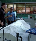 H5010-00040.jpg