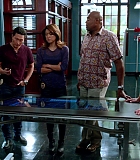 Filename=H5010-00085.jpg
Filesize=645KiB
Dimensions=1920x1080
Date added=Jan 06, 2015 H5010-00085.jpg