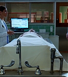H5010-00132.jpg