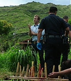 H50512-00154.jpg