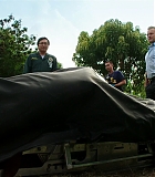 H50512-00160.jpg