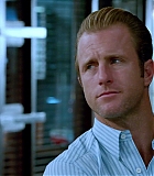H50512-00175.jpg