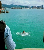 H50513-00093.jpg