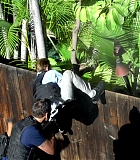 H50515-00234.jpg