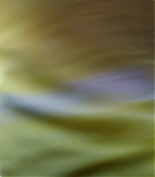 H50515-00302.jpg