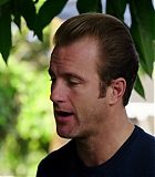 H50515-00398.jpg