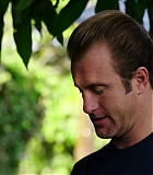 H50515-00400.jpg