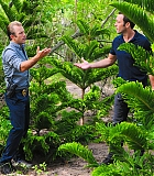 H50509S-00004.jpg