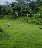 H50602-0277.jpg