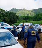 H50602-0305.jpg