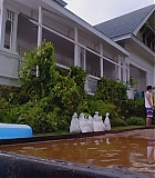 H50605-0048.jpg