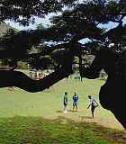 H50605-0272.jpg