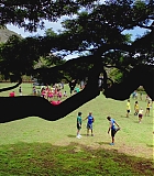 H50605-0273.jpg