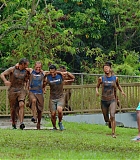 H50605-0306.jpg
