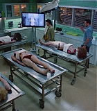 H50606-0062.jpg