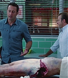 H50606-0064.jpg