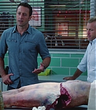 H50606-0065.jpg