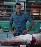 H50606-0067.jpg