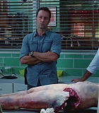 H50606-0076.jpg
